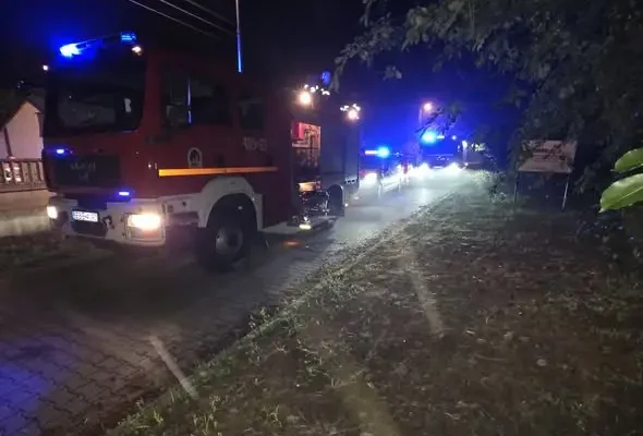 Owca wpadła do studni w Zelowie – akcja strażaków