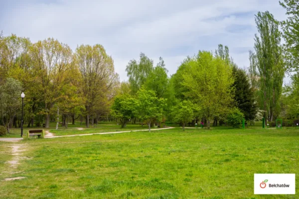 Park im. Samujłły w Bełchatowie z nową łąką kwietną i ogrodem deszczowym