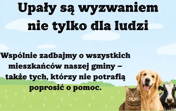 Upały: jak chronić zwierzęta przed przegrzaniem? Porady weterynarza z Bełchatowa