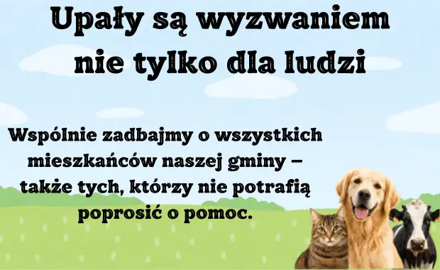 Upały: jak chronić zwierzęta przed przegrzaniem? Porady weterynarza z Bełchatowa