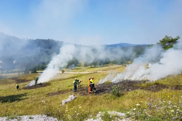 Pożar trawy w Osinie – interwencja strażaków z trzech jednostek OSP
