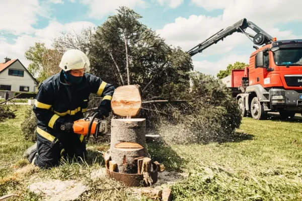 OSP Zelów usuwa skutki wichury – interwencje po wiatrołomach