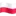 W Suchcicach ożywiono historię: rekonstrukcja i hołd dla bohaterów II wojny światowej