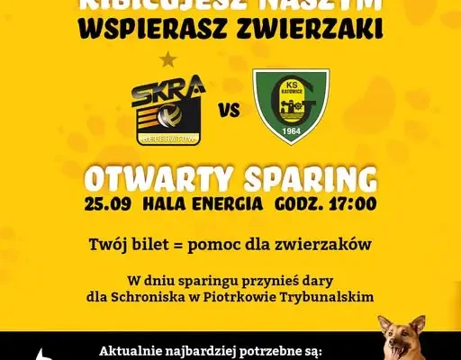 Sparing siatkarzy Skry Bełchatów z GKS-em Katowice — wstępem dary dla schroniska