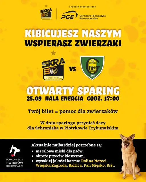 Sparing siatkarzy Skry Bełchatów z GKS-em Katowice — wstępem dary dla schroniska