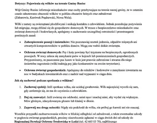 Wilki podchodzą pod zabudowania w Gminie Rusiec. Wójt apeluje o ostrożność