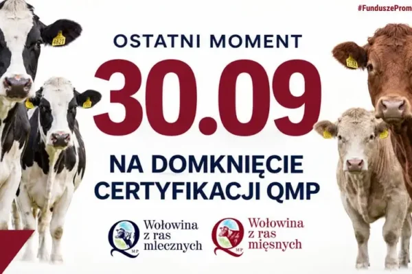 Certyfikat QMP – ostatni dzwonek dla rolników. Termin mija 30 września 2026 r.