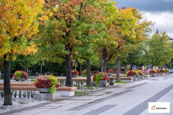 Plac Narutowicza w Bełchatowie po metamorfozie – więcej zieleni i nowe ławki