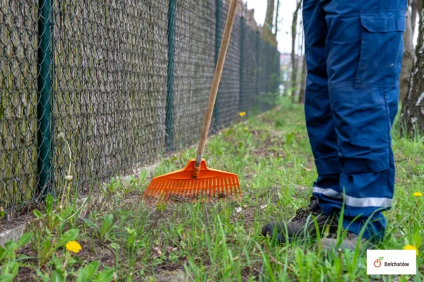Rusza kolejna edycja prac społecznie użytecznych w Bełchatowie